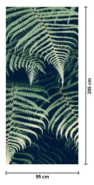 Foto tapeta za vrata - Lišće paprati (95x205cm)