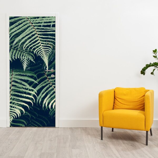 Foto tapeta za vrata - Lišće paprati (95x205cm)