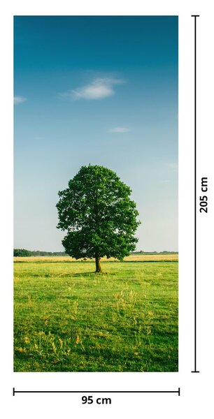 Foto tapeta za vrata - Drvo na livadi (95x205cm)