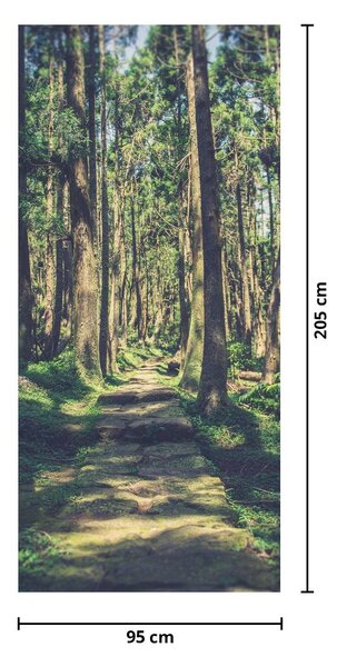 Foto tapeta za vrata - Put između stabala (95x205cm)