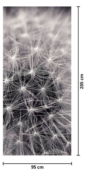 Foto tapeta za vrata - Maslačak (95x205cm)