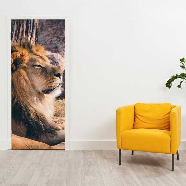 Foto tapeta za vrata - Ležeći lav (95x205cm)