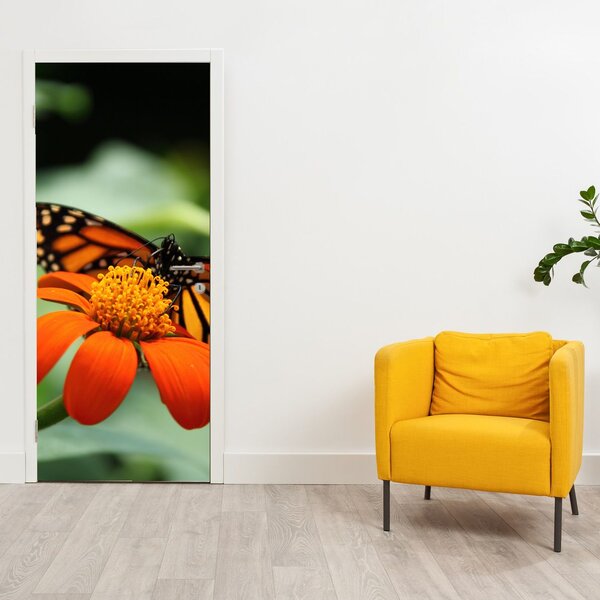 Foto tapeta za vrata - Leptir na cvijetu (95x205cm)