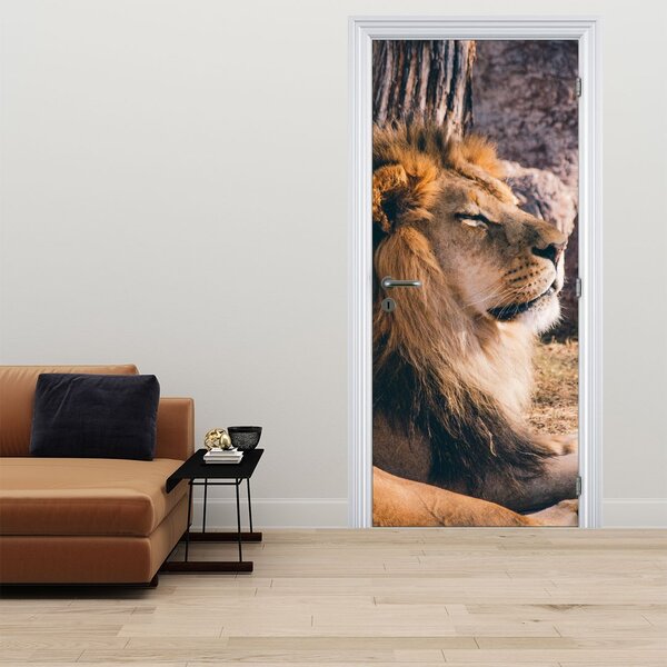 Foto tapeta za vrata - Ležeći lav (95x205cm)