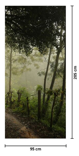 Foto tapeta za vrata - Jutarnja magla (95x205cm)