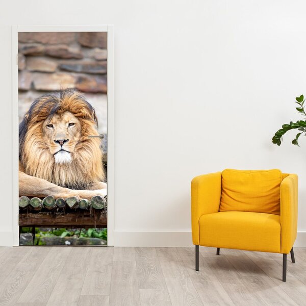Foto tapeta za vrata - Lav (95x205cm)