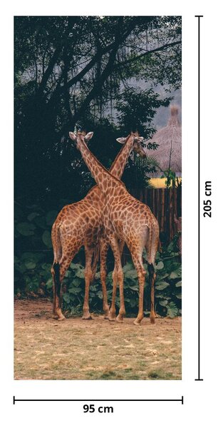 Foto tapeta za vrata - Dvije žirafe (95x205cm)