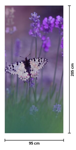 Foto tapeta za vrata - Leptir u lavandi (95x205cm)