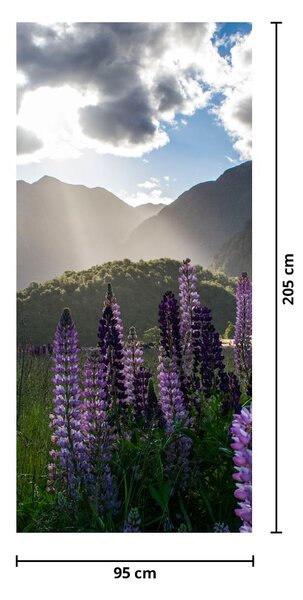 Foto tapeta za vrata - Krajolik lupine (95x205cm)