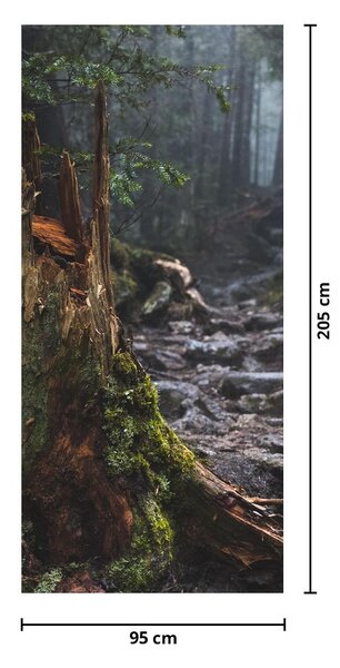 Foto tapeta za vrata - U šumi (95x205cm)
