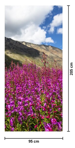 Foto tapeta za vrata - Pejzaž planinske livade (95x205cm)