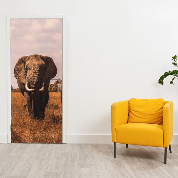 Foto tapeta za vrata - Dolazak slona (95x205cm)