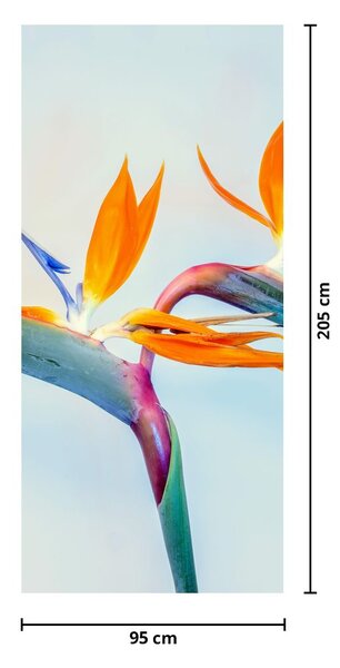 Foto tapeta za vrata - Cvijetovi Strelicije (95x205cm)