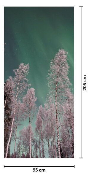 Foto tapeta za vrata - Polarna svijetlost iznad smrznutih stabala (95x205cm)