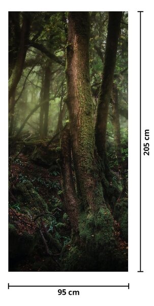 Foto tapeta za vrata - Tajanstvena šuma (95x205cm)