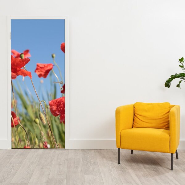 Foto tapeta za vrata - Makovi (95x205cm)