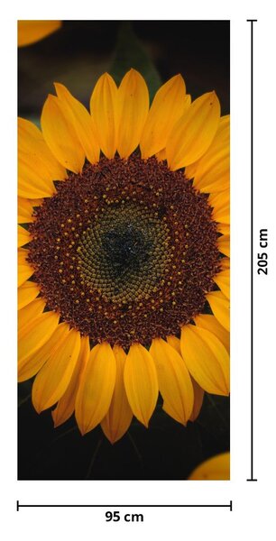 Foto tapeta za vrata - Suncokreti i latice cvijeća (95x205cm)