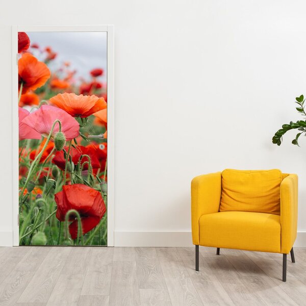 Foto tapeta za vrata - Polje maka (95x205cm)
