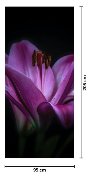 Foto tapeta za vrata - Ljiljani (95x205cm)