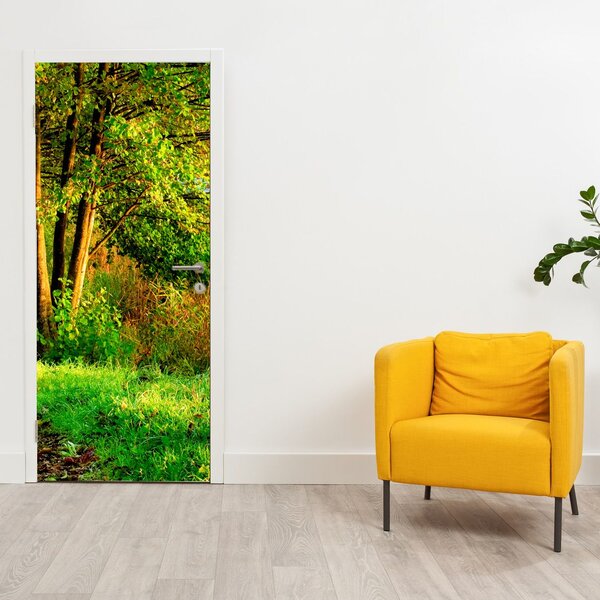 Foto tapeta za vrata - Staza uz vodu (95x205cm)