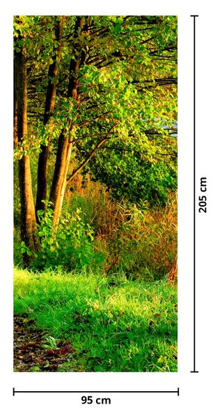 Foto tapeta za vrata - Staza uz vodu (95x205cm)