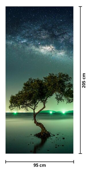Foto tapeta za vrata - Noćno nebo (95x205cm)