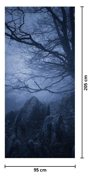Foto tapeta za vrata - Tamna šuma (95x205cm)