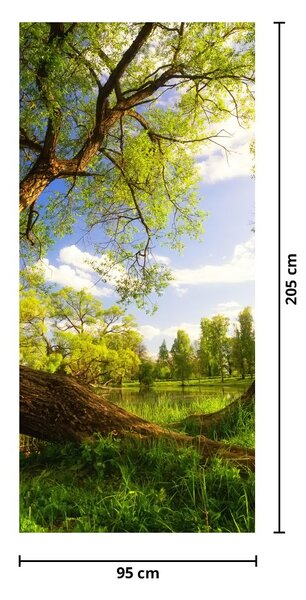 Foto tapeta za vrata - Proljetna livada (95x205cm)
