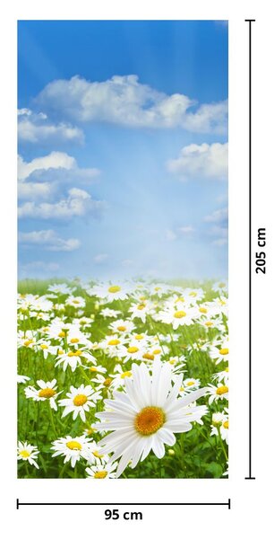 Foto tapeta za vrata - Cvatuća livada s tratinčicama (95x205cm)