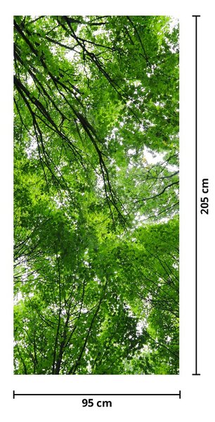 Foto tapeta za vrata - Pogled na krošnje drveća (95x205cm)