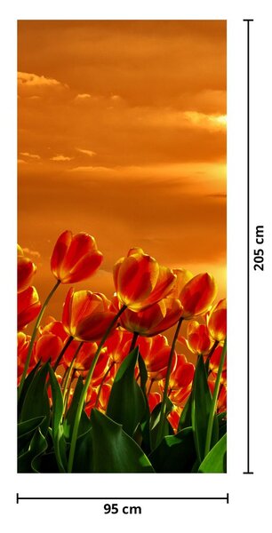 Foto tapeta za vrata - Cvjetajuće polje s tulipanima (95x205cm)