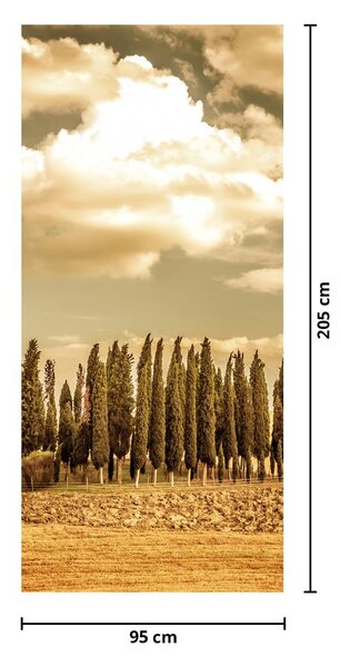 Foto tapeta za vrata - Proplanak (95x205cm)