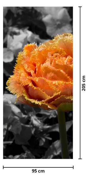 Foto tapeta za vrata - Cvijet (95x205cm)