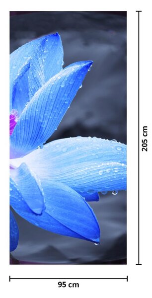 Foto tapeta za vrata - Cvijet - detajl (95x205cm)