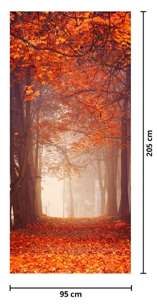 Foto tapeta za vrata - Jesenska šuma (95x205cm)