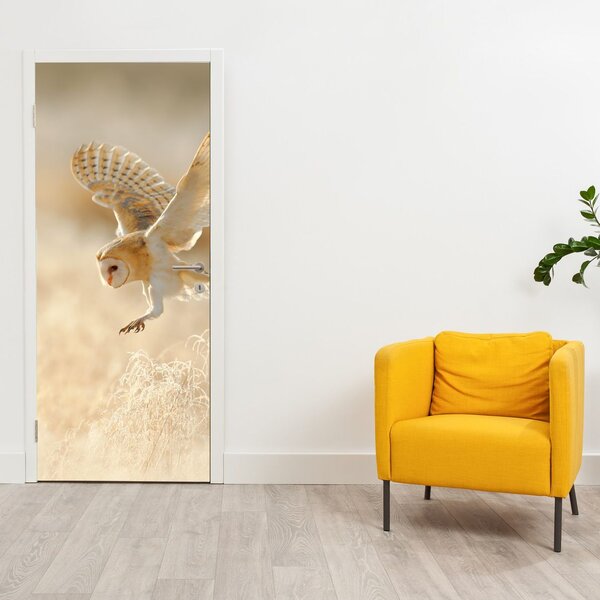 Foto tapeta za vrata - Sova ušarka (95x205cm)