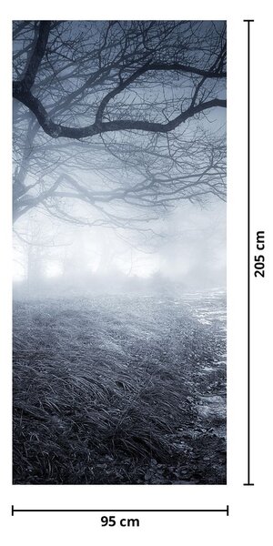 Foto tapeta za vrata - Cesta u magli (95x205cm)