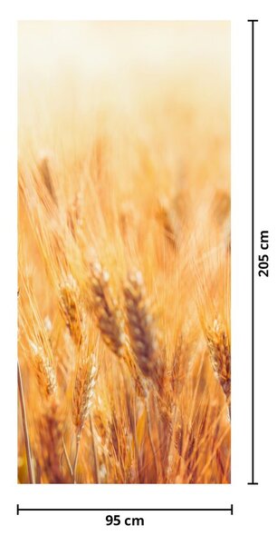 Foto tapeta za vrata - Polje sa žitom (95x205cm)