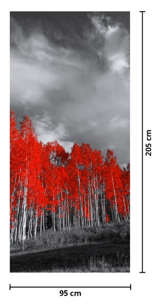 Foto tapeta za vrata - Crvena stabla (95x205cm)