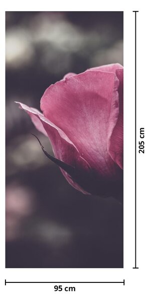 Foto tapeta za vrata - Detalj cvijeta ruže (95x205cm)