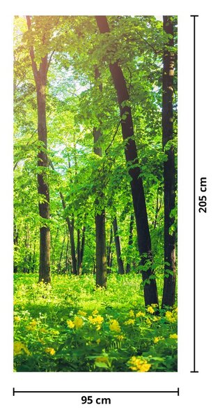 Foto tapeta za vrata - Proljetna listopadna šuma (95x205cm)