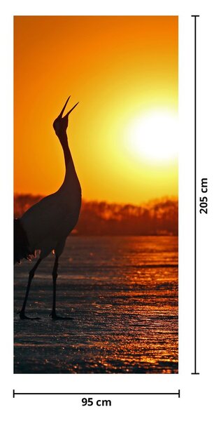 Foto tapeta za vrata - Ptice na zalasku sunca (95x205cm)
