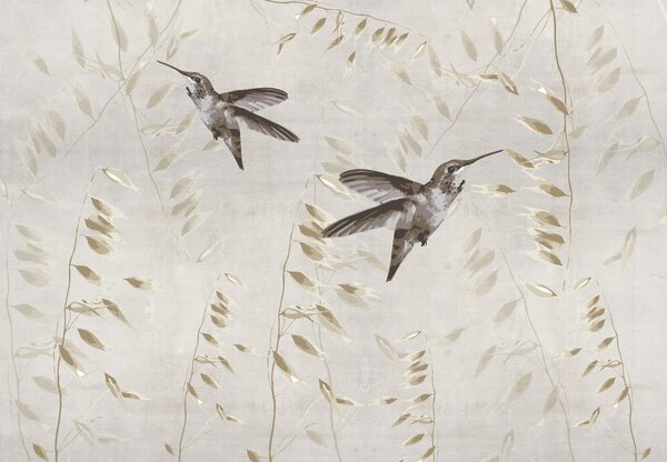Foto tapeta - Kolibri, vektor (147x102 cm)