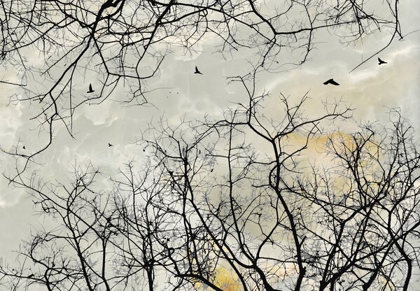 Foto tapeta - Krošnje drveća (147x102 cm)
