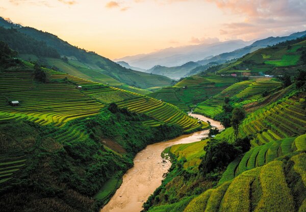 Foto tapeta - Rižino polje Mu Cang Chai (147x102 cm)