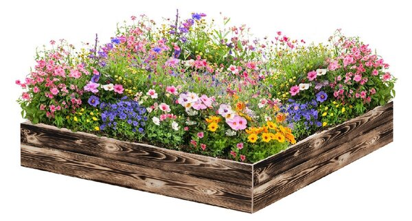 ATMOWOOD Drvena podignuta gredica 120 x 120 x 20 cm - pougljena