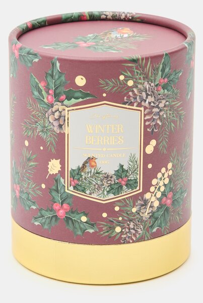 Sinsay - Božićna mirisna svijeća Winter Berries