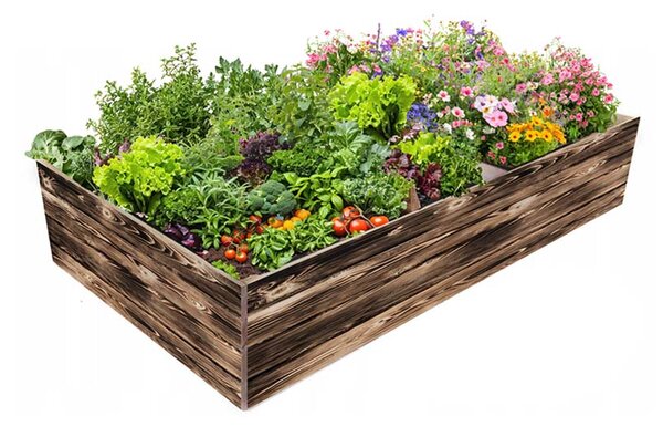 ATMOWOOD Drvena podignuta gredica 240 x 100 x 40 cm - pougljena