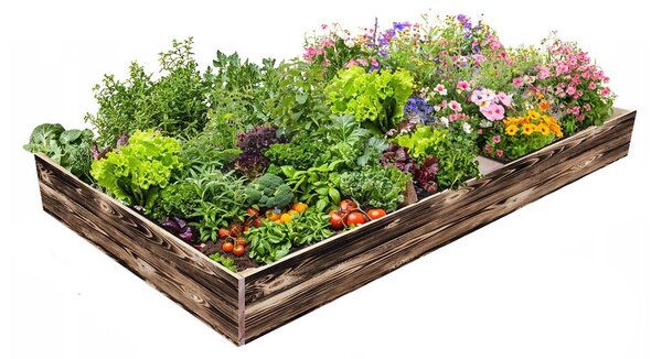 ATMOWOOD Drvena podignuta gredica 240 x 100 x 20 cm - pougljena