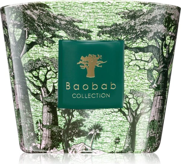 Baobab Collection Sacred Trees Touba mirisna svijeća 500 g